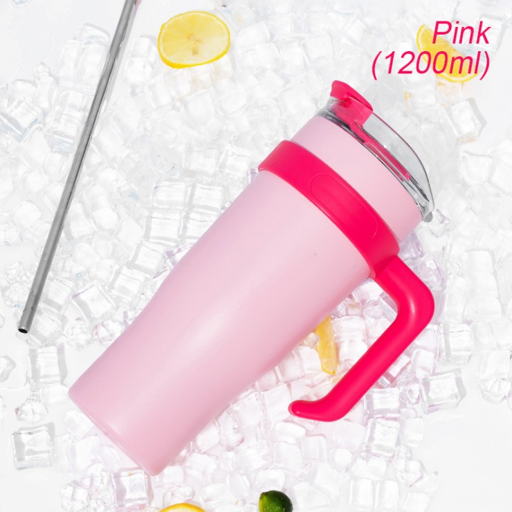 Portable insulated stainless steel ice bottle