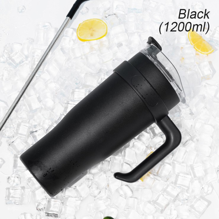 Portable insulated stainless steel ice bottle