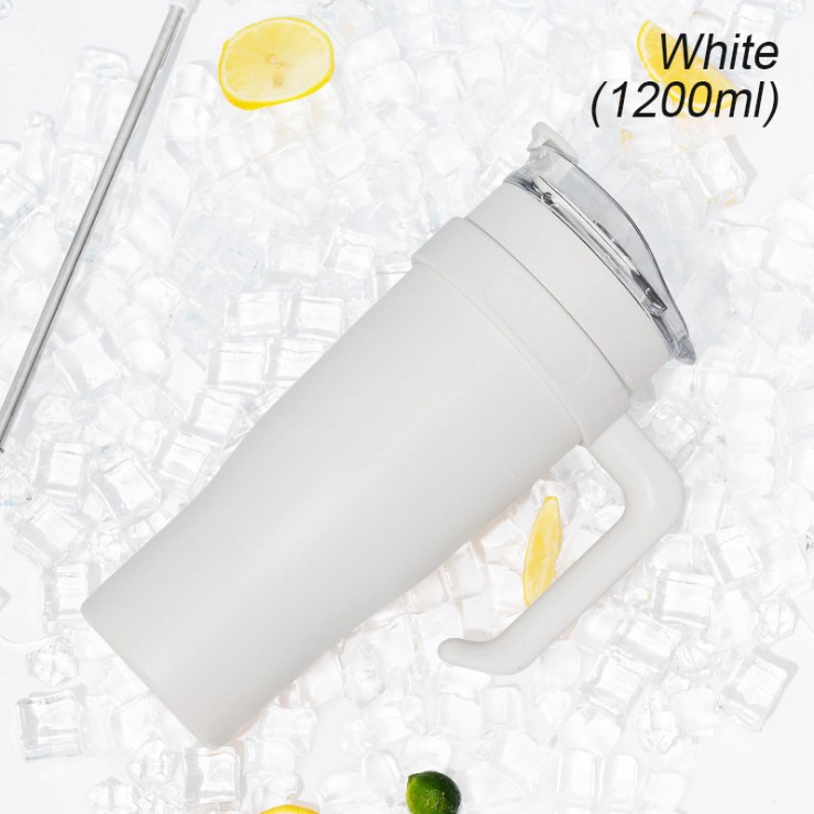 Portable insulated stainless steel ice bottle
