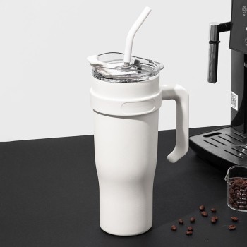 Portable insulated stainless steel ice bottle
