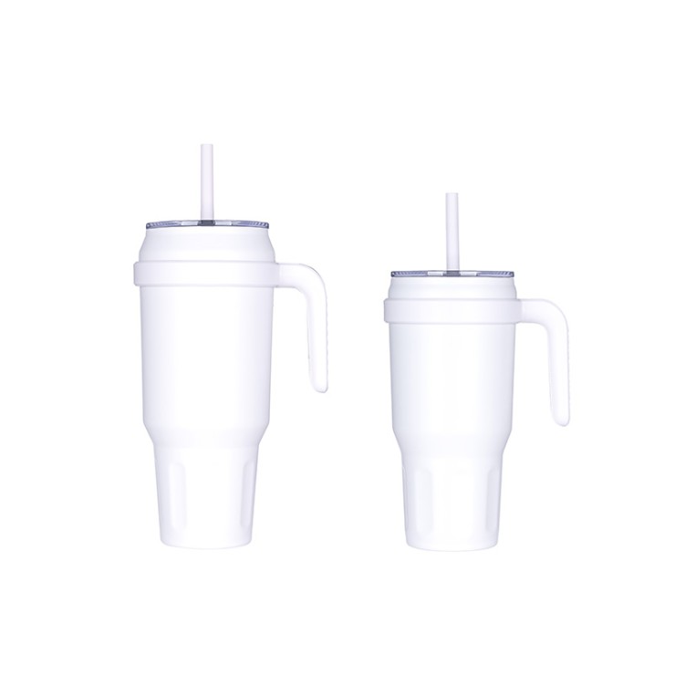 Portable stainless steel vacuum ice bottle