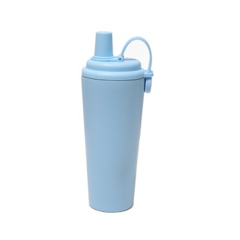 Solid color leak-proof stainless steel ice bottle