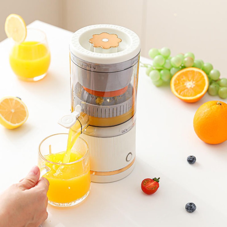 Multifunctional portable electric juicer