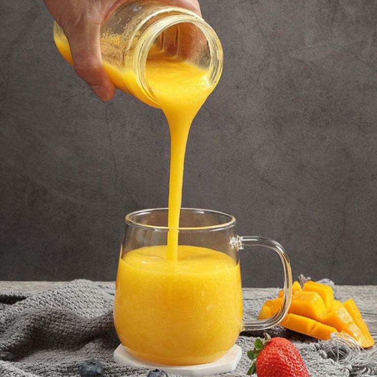 European retro style electric juicer