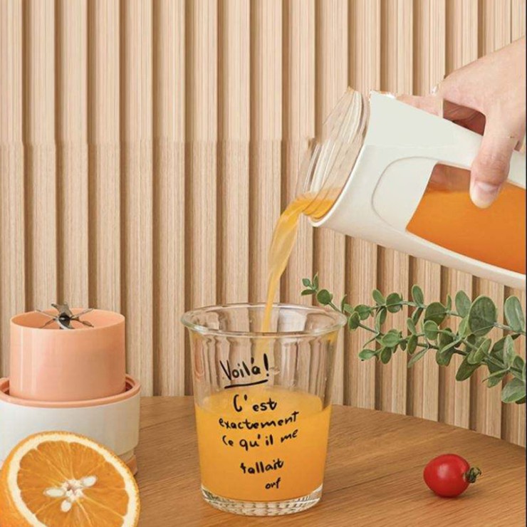 Modern household fruit electric juicer