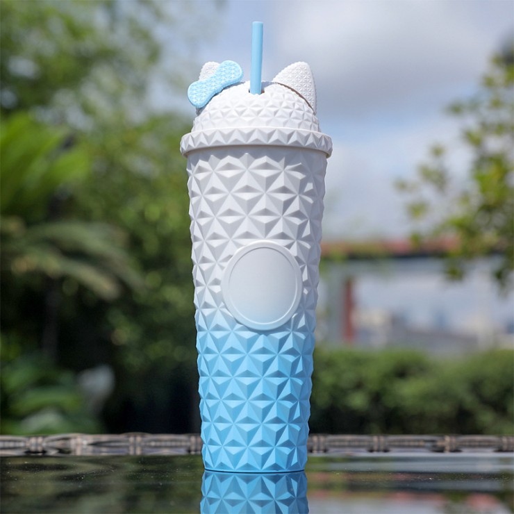 Fashionable double-layer insulated straw water cup