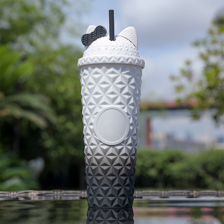 Fashionable double-layer insulated straw water cup