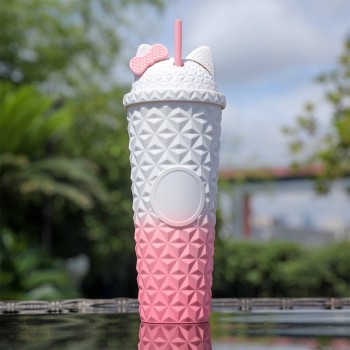 Fashionable double-layer insulated straw water cup