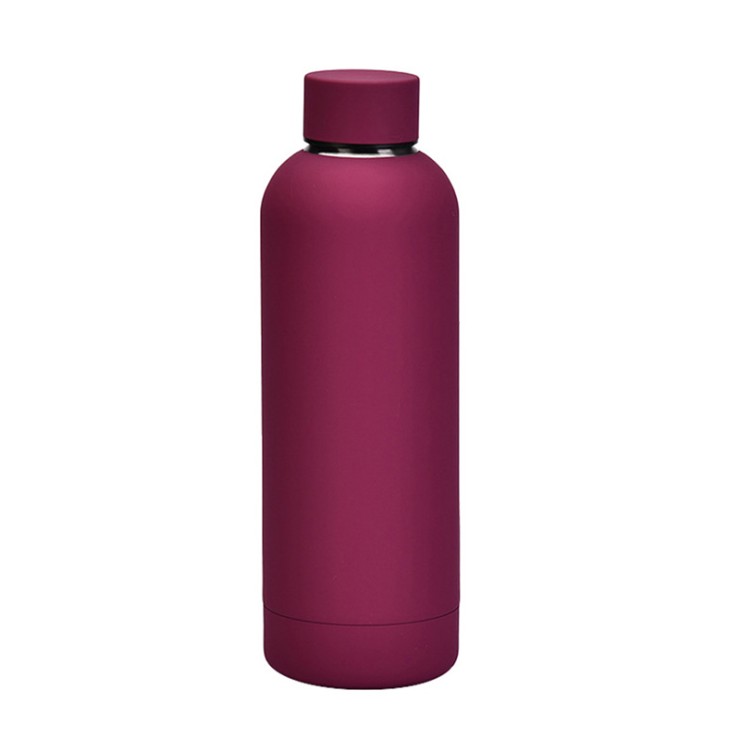 Simple insulated stainless steel thermos cup